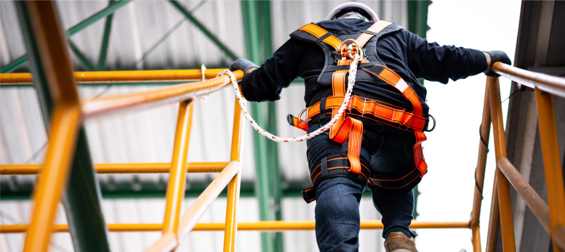 Fall Arrest Education, What To Expect From Our Fall Protection Training  Program